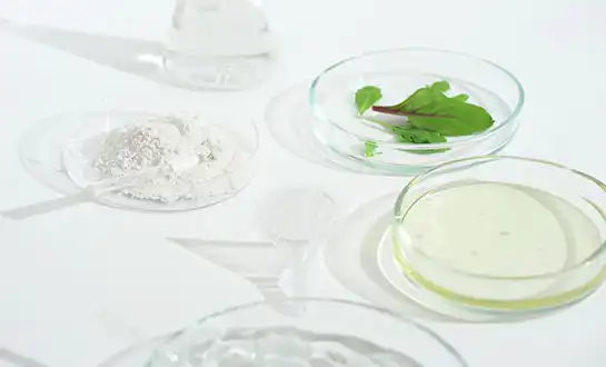 Energy Saving: How Small Peptides Helps Crops Bypass Stress